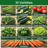 10‑Variety Heirloom Vegetable Seed Pack – Great for Small & Urban Gardens