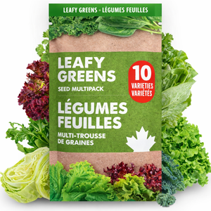 Herbs Seeds | Shop Heirloom Seeds | Oh Canada Seeds