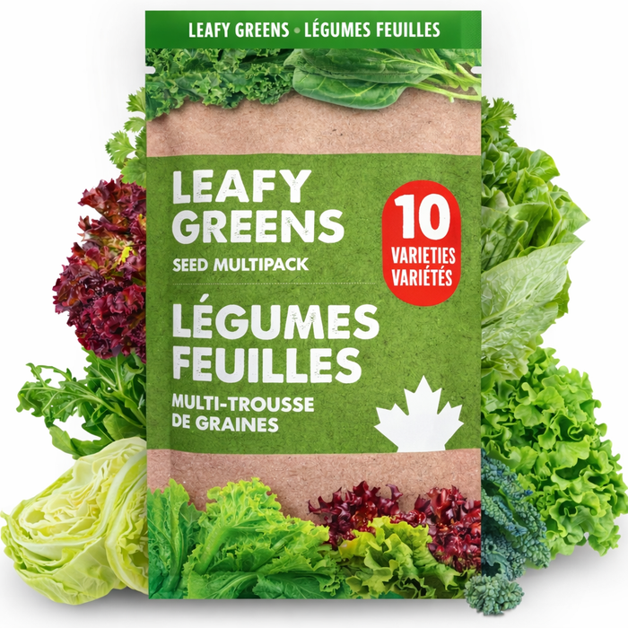Herbs Seeds | Shop Heirloom Seeds | Oh Canada Seeds