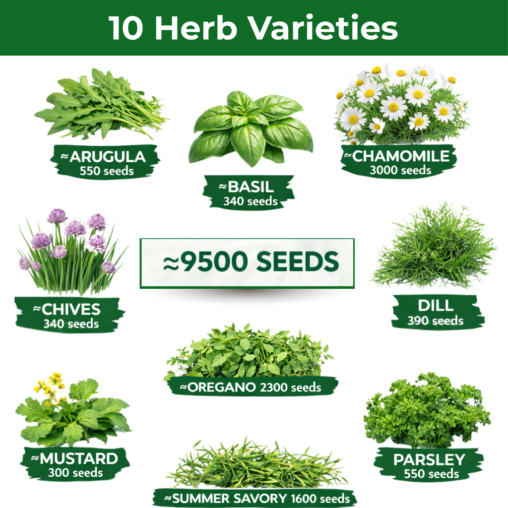 10 Herb Variety Pack - 10 Container Herbs Variety Pack