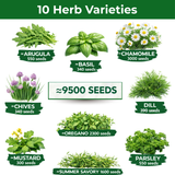 10 Herb Variety Pack - 10 Container Herbs Variety Pack