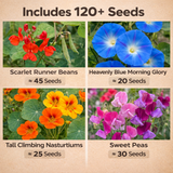 4 Flowering Vines Variety Pack – Climbing Flowers up to 12 to 16 ft (3.6 to 4.9 m)