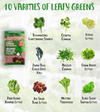 10 Variety Leafy Greens Seed Pack – Hydroponic, Indoor or Outdoor – Ideal for Modern Gardens
