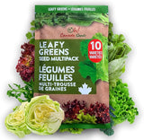 10 Variety Leafy Greens Seed Pack – Hydroponic, Indoor or Outdoor – Ideal for Modern Gardens