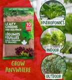 10 Variety Leafy Greens Seed Pack – Hydroponic, Indoor or Outdoor – Ideal for Modern Gardens