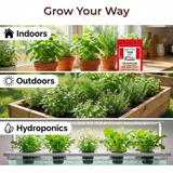 10 Herb Variety Pack - 10 Container Herbs Variety Pack