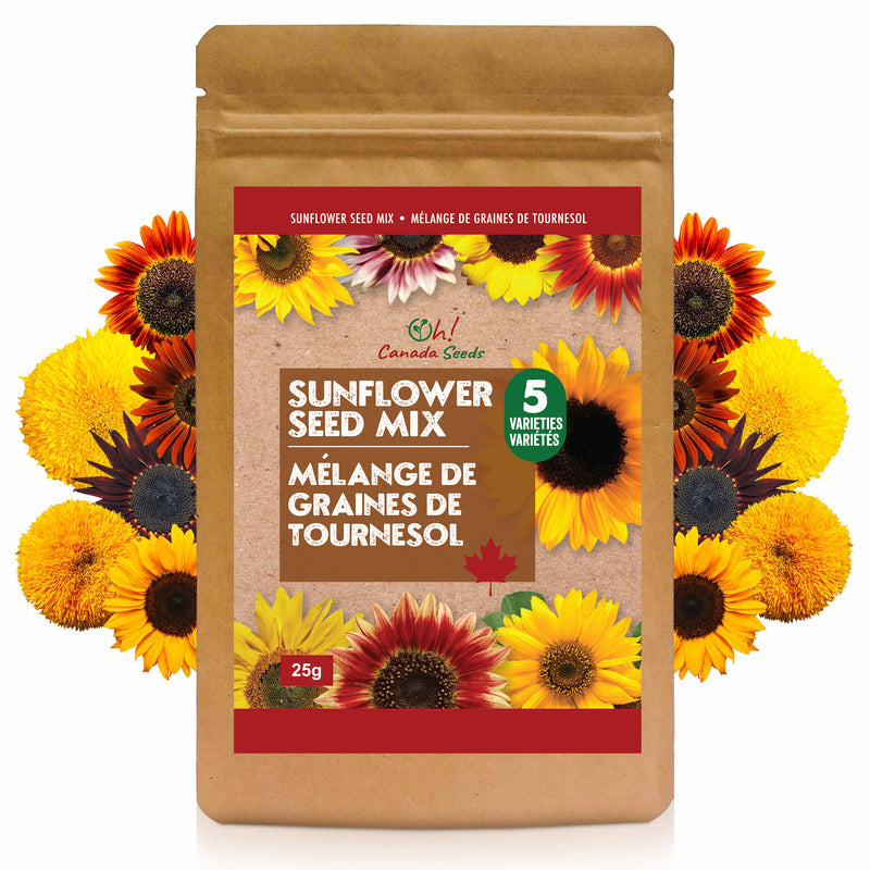 Mixed Sunflower Seed – 5 varieties – 25g
