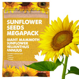 Giant Mammoth Sunflower Seed Megapack – 300 Seeds of Spectacular Blooms