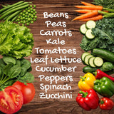 10‑Variety Heirloom Vegetable Seed Pack – Great for Small & Urban Gardens