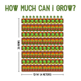 20‑Variety Heirloom Vegetable Seed Pack – Great Value for Home & Garden