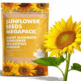 Giant Mammoth Sunflower Seed Megapack – 300 Seeds of Spectacular Blooms