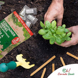 5‑Variety Herb Seed Pack – A Naturally Flavorful Start