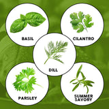 5‑Variety Herb Seed Pack – A Naturally Flavorful Start