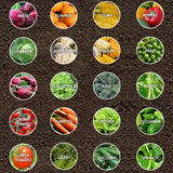 20‑Variety Heirloom Vegetable Seed Pack – Great Value for Home & Garden