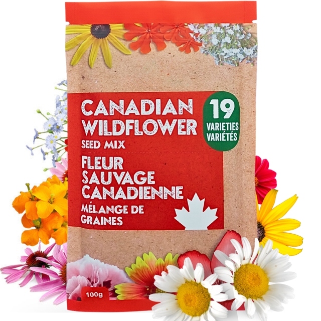 canadian wildflower seeds Canadian Wildflower Seed Mix – 19 Annual & Perennial Varieties – 100g