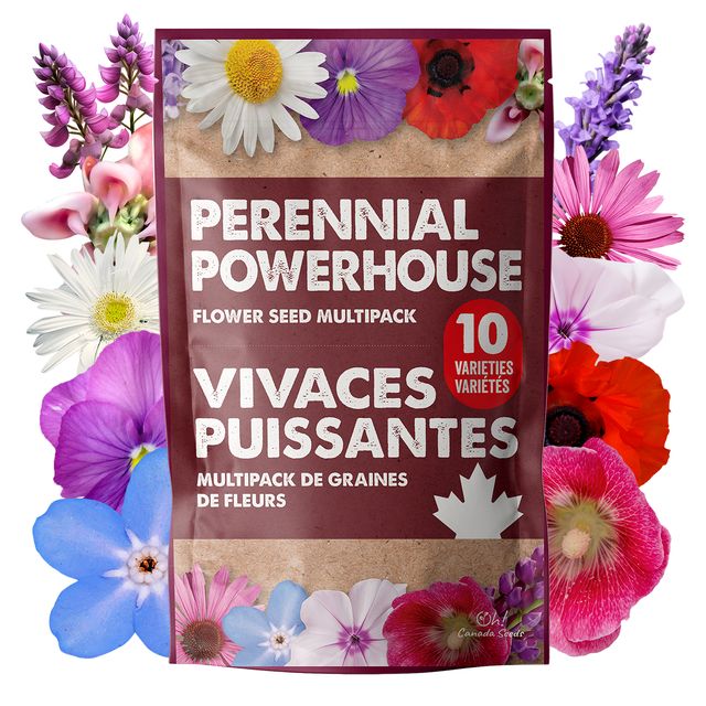 perenial flower seeds 10‑Variety Perennial Flower Seed Pack