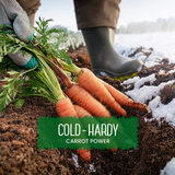 Rainbow Carrot Variety Pack - 4 Packets, Endless Options