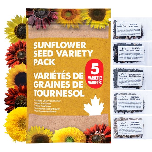 types of sunflower seeds for planting Sunflower Seed Variety Pack – 5 Beautiful Sunflower Types