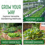 5‑Variety Herb Seed Pack – A Naturally Flavorful Start