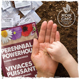 10‑Variety Perennial Flower Seed Pack - Plant Once, Enjoy for Years