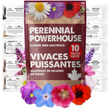 10‑Variety Perennial Flower Seed Pack - Plant Once, Enjoy for Years