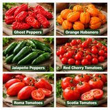 6 Tomato & Hot Pepper Variety Seed Pack – Ready to Spice Up Your Garden