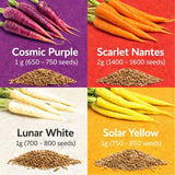 Rainbow Carrot Variety Pack - 4 Packets, Endless Options
