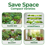 10‑Variety Heirloom Vegetable Seed Pack – Great for Small & Urban Gardens