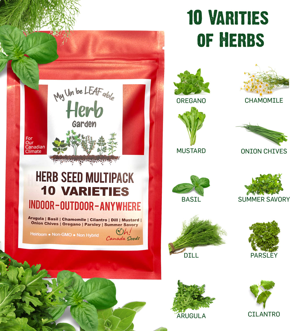 10 Herb Variety Pack - 10 Container Herbs Variety Pack