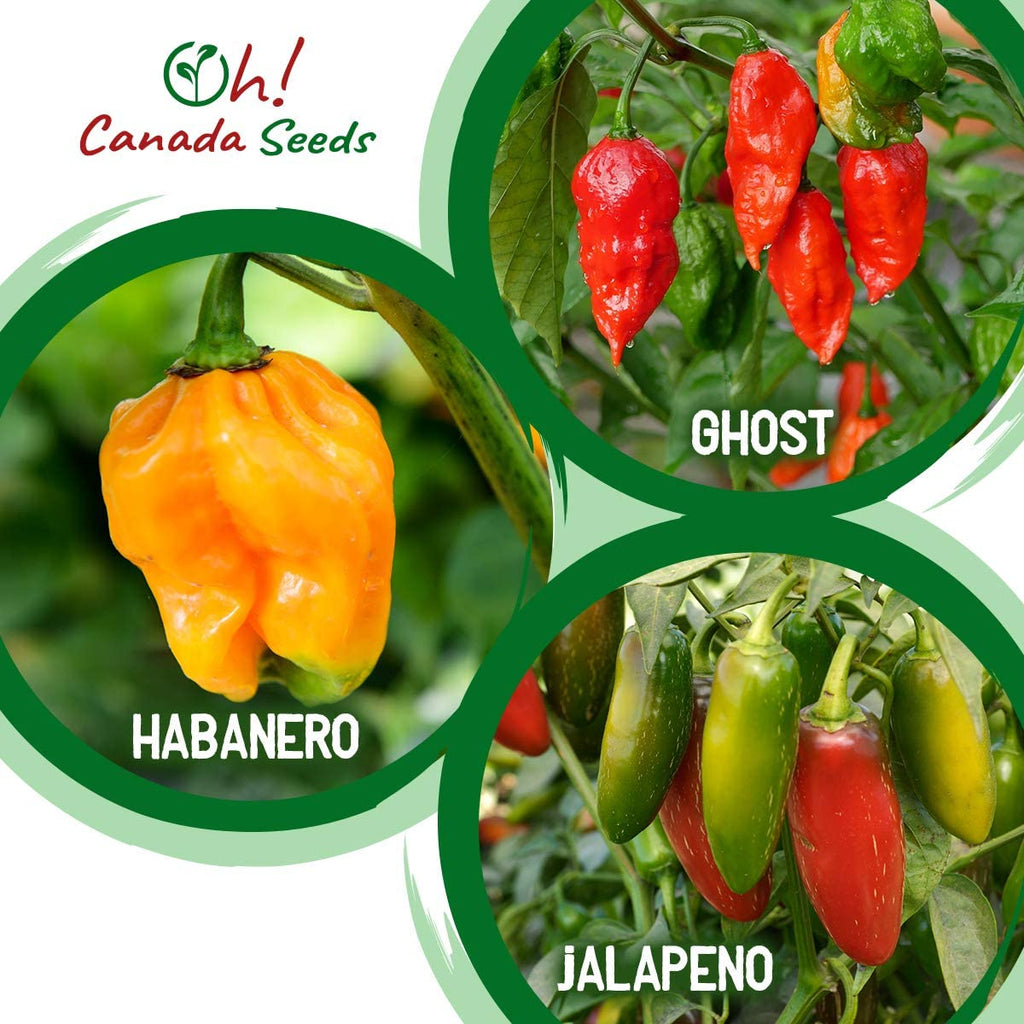 Hot Pepper Seed Variety Pack and Starter Grow Kit for Planting Canada | Buy Pepper Growing Kits Online