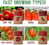 Tomato Seeds Variety Pack and Garden Starter Kit for Planting Canada