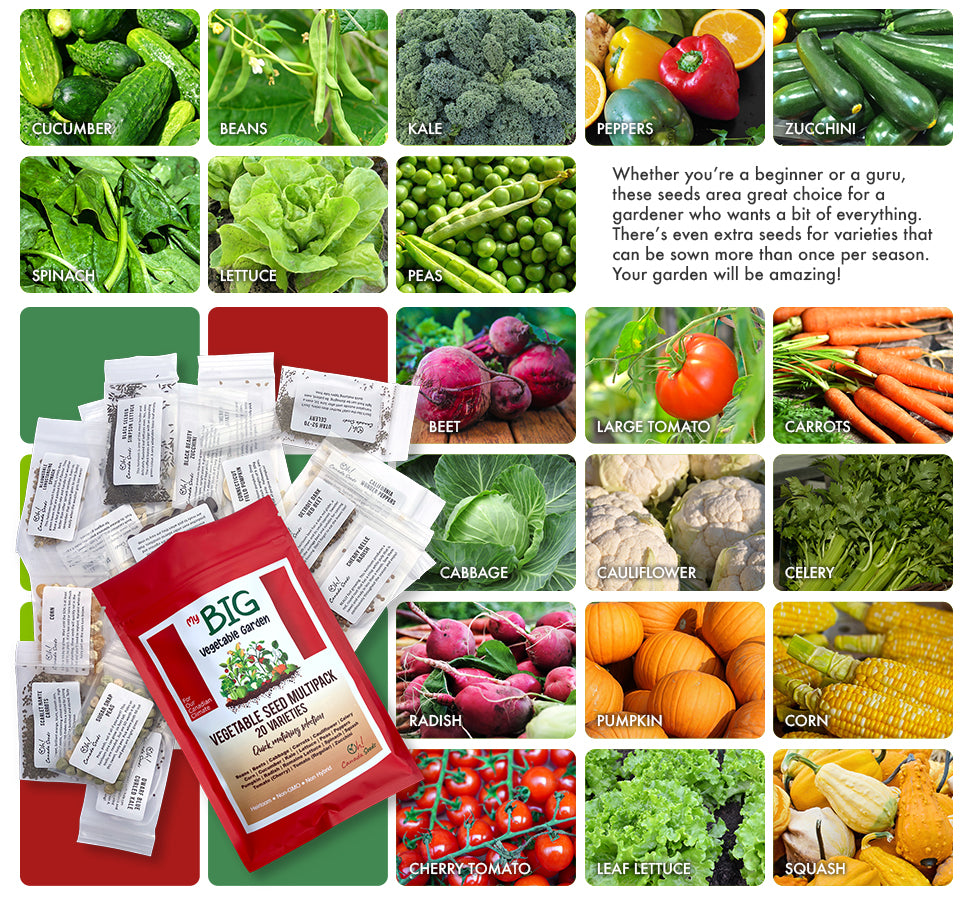 My Big Vegetable Garden - 20 Vegetable Seed Variety Pack