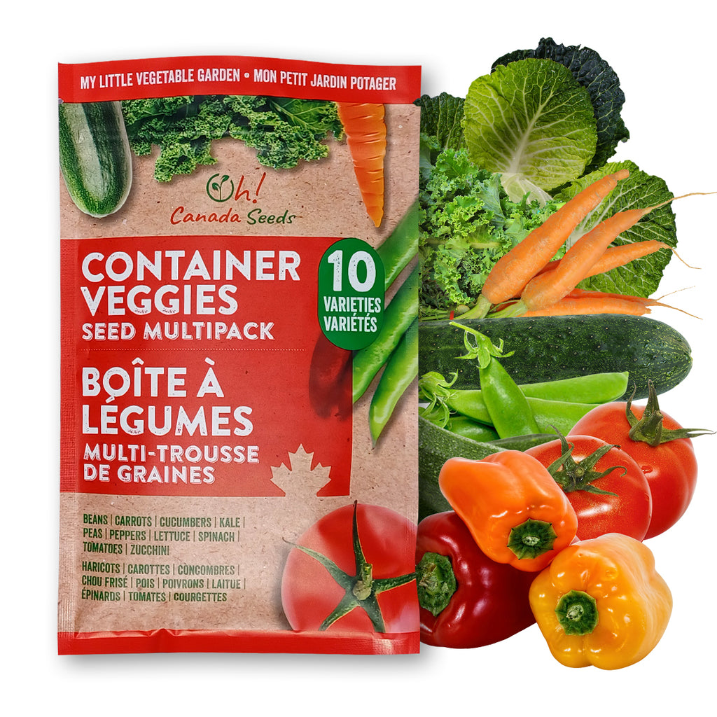 My Little Vegetable Garden - 10 Container Veggies Variety Pack