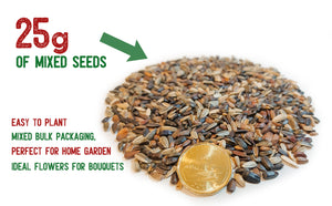 Mixed Sunflower Seed – 6 varieties – 25g