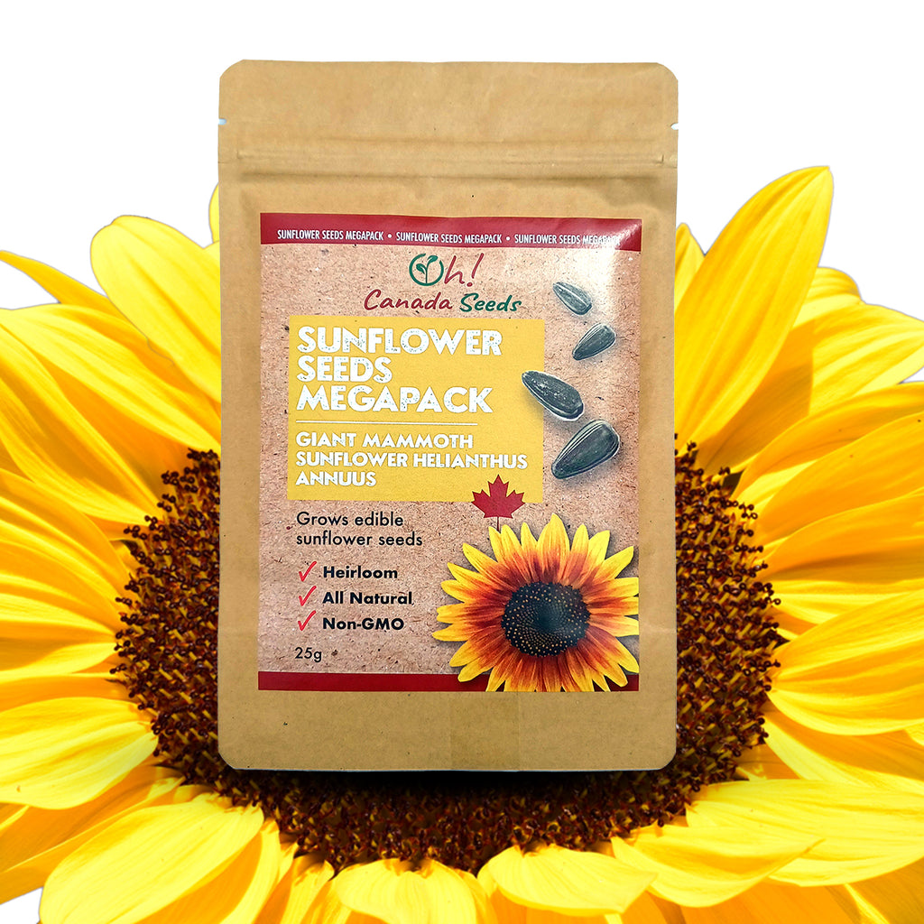 Sunflower Megapack - Giant Mammoth Sunflower Seeds Megapack – 350 Pieces