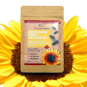 Sunflower Megapack - Giant Mammoth Sunflower Seeds Megapack – 350 Pieces